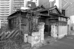 孤独死とは？発見後の対応と流れを解説