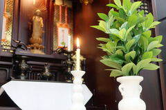 樒と宗派のつながり・葬儀での役割と費用は？