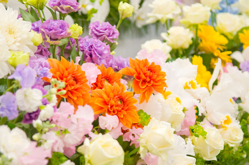 花で彩る家族葬のダリア