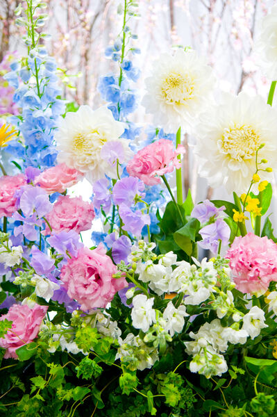 花で彩る家族葬の白いダリア