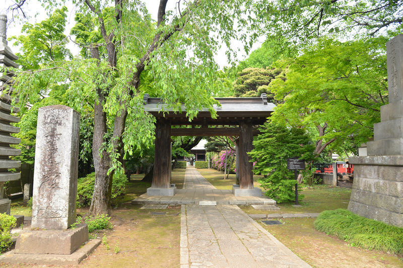 妙福寺 本應院 入口1