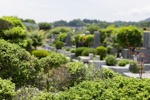 日本での土葬は可能？やり方と世界の埋葬方法