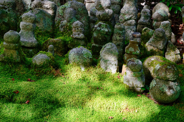 風葬とは？日本の文化・世界の風習を解説