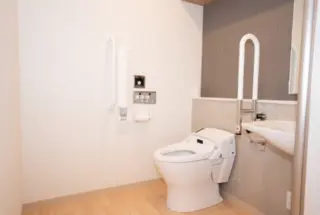 天国社 高崎ピクシー邸　桜想