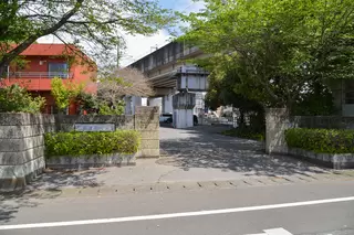 セレモニーホール花壇