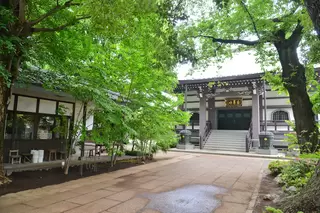 養源寺