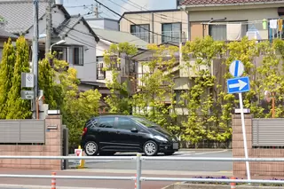 グリーンホールはとがや