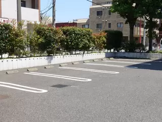 柏セントラルホール