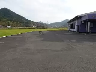 さとや葬儀社法輪斎場