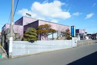 セリオホール磯鶏